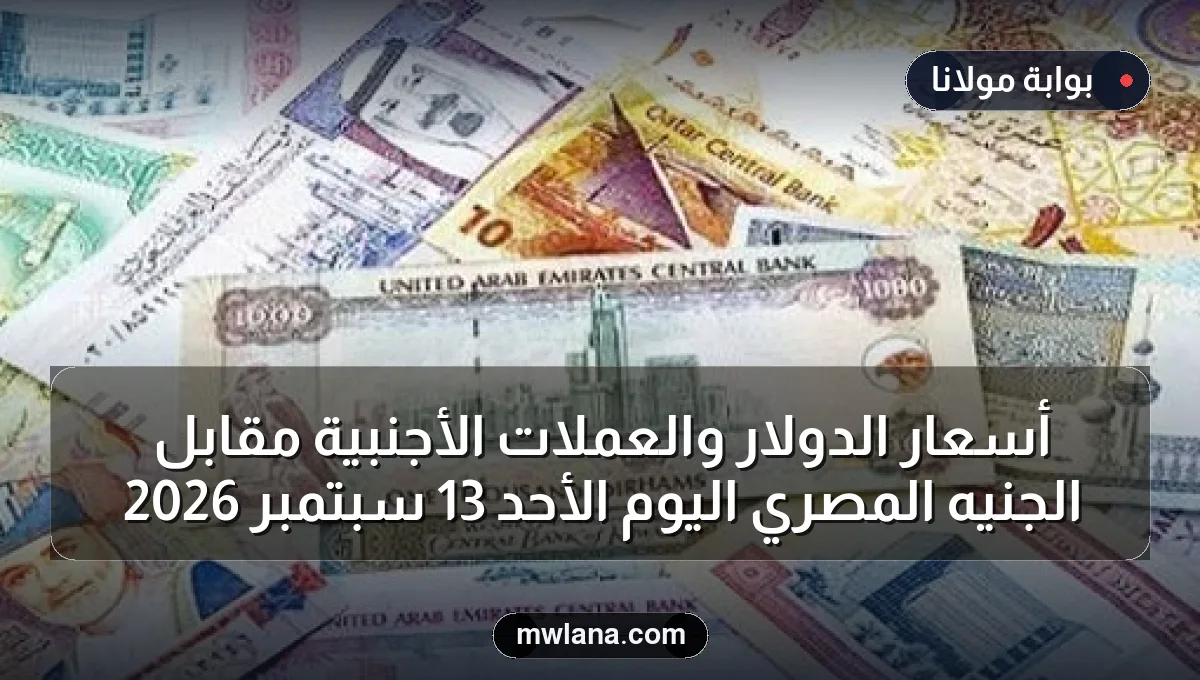 أسعار الدولار والعملات الأجنبية مقابل الجنيه المصري اليوم الأحد 13 سبتمبر 2026