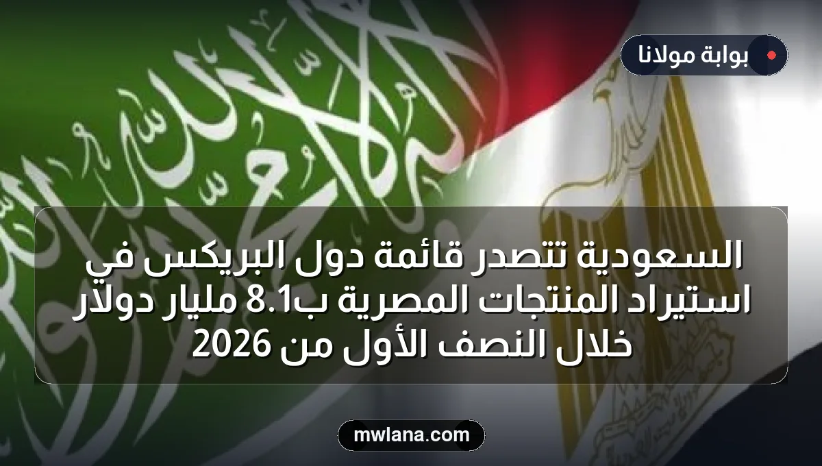 السعودية تتصدر قائمة دول البريكس في استيراد المنتجات المصرية بـ1.8 مليار دولار خلال النصف الأول من 2026