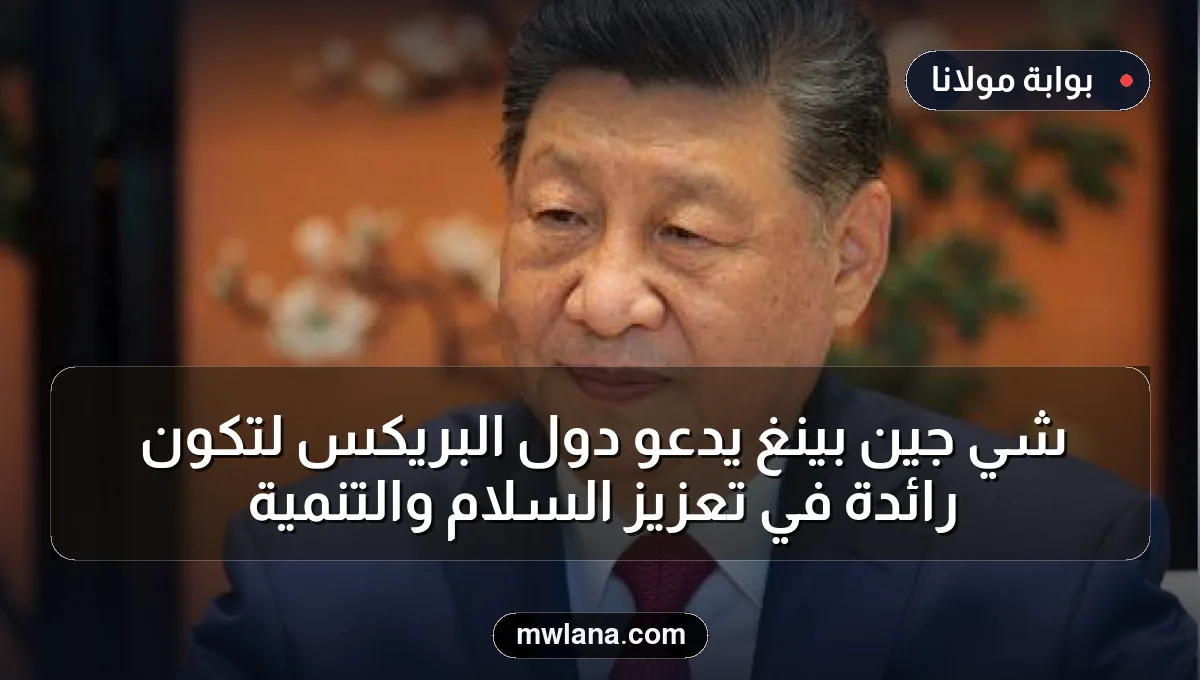 شي جين بينغ يدعو دول البريكس لتكون رائدة في تعزيز السلام والتنمية