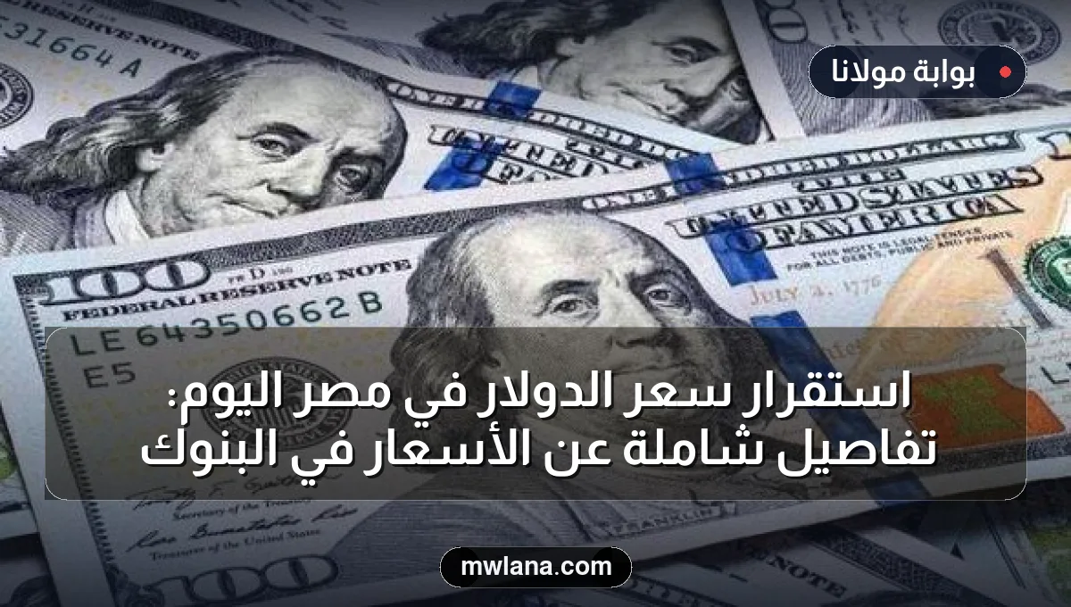 استقرار سعر الدولار في مصر اليوم: تفاصيل شاملة عن الأسعار في البنوك