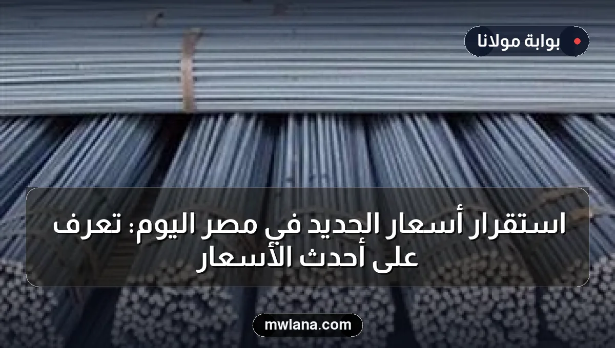 استقرار أسعار الحديد في مصر اليوم: تعرف على أحدث الأسعار