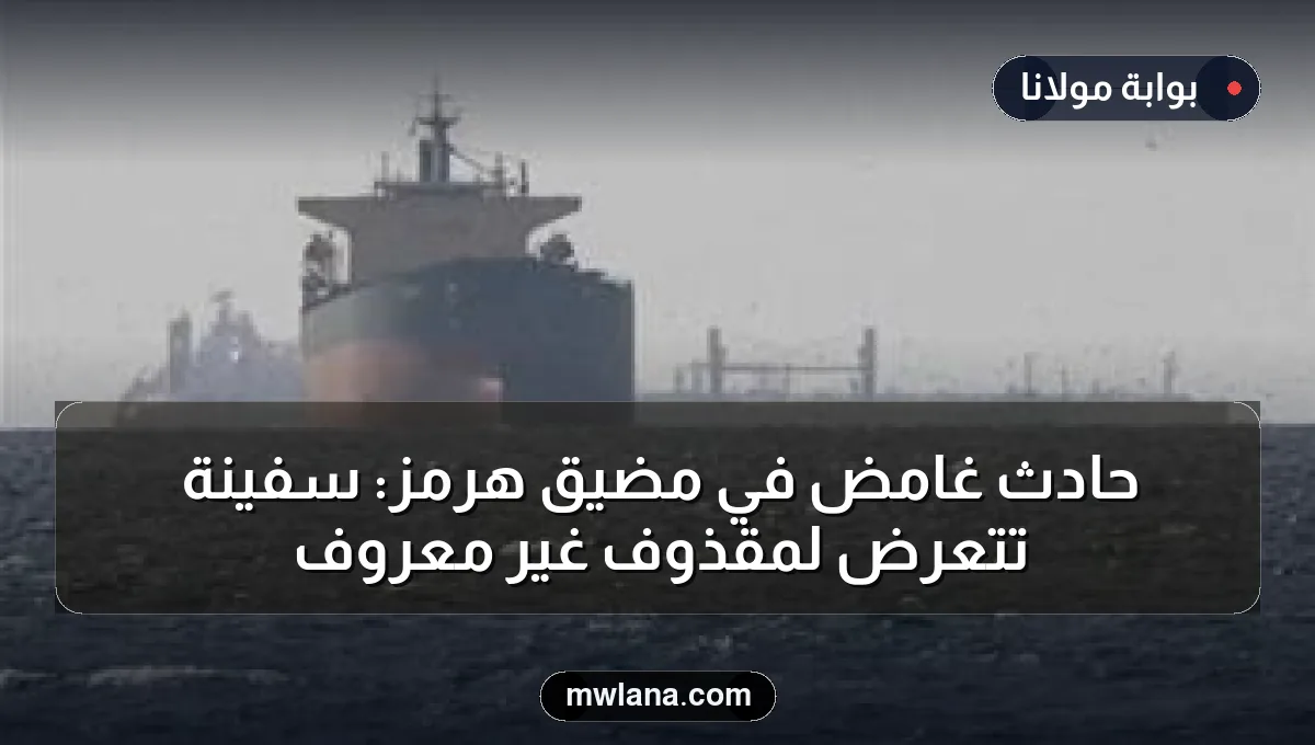 حادث غامض في مضيق هرمز: سفينة تتعرض لمقذوف غير معروف