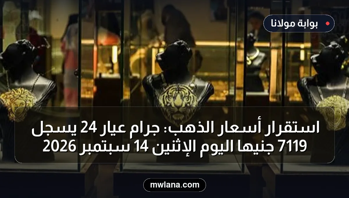 استقرار أسعار الذهب: جرام عيار 24 يسجل 7119 جنيهاً اليوم الإثنين 14 سبتمبر 2026