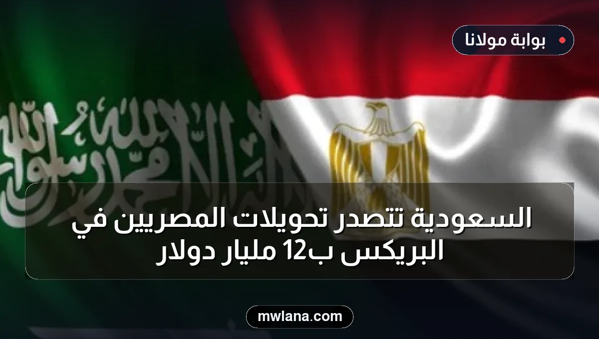 السعودية تتصدر تحويلات المصريين في البريكس بـ12 مليار دولار