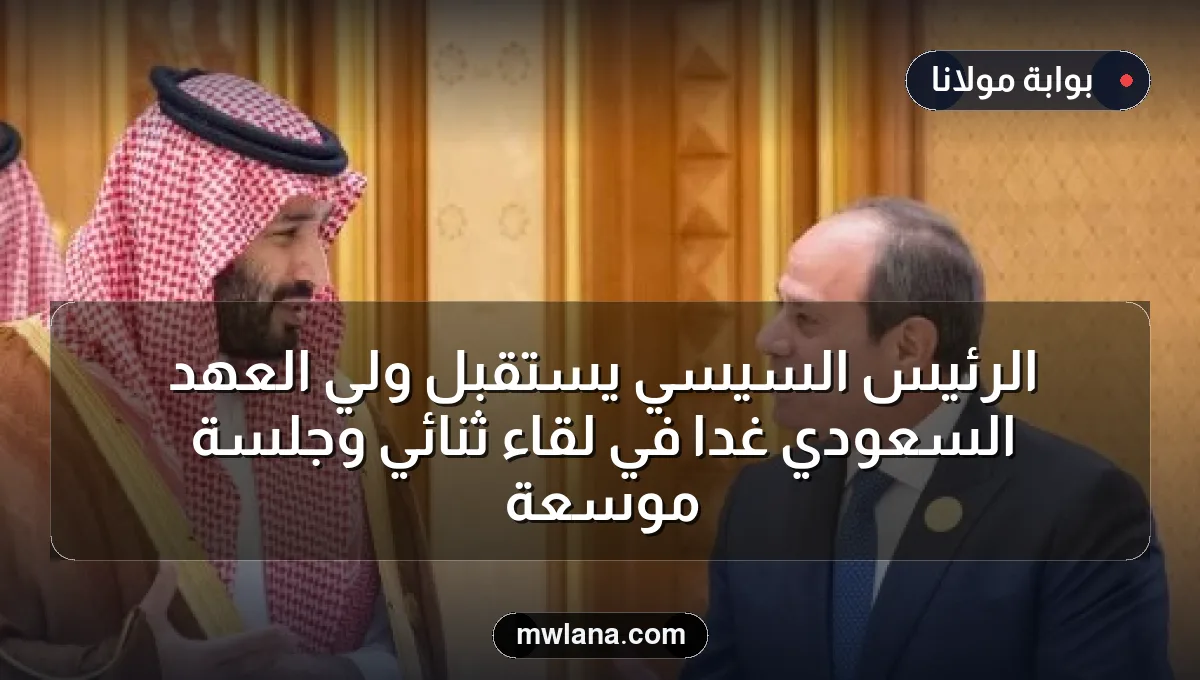 الرئيس السيسي يستقبل ولي العهد السعودي غدًا في لقاء ثنائي وجلسة موسعة