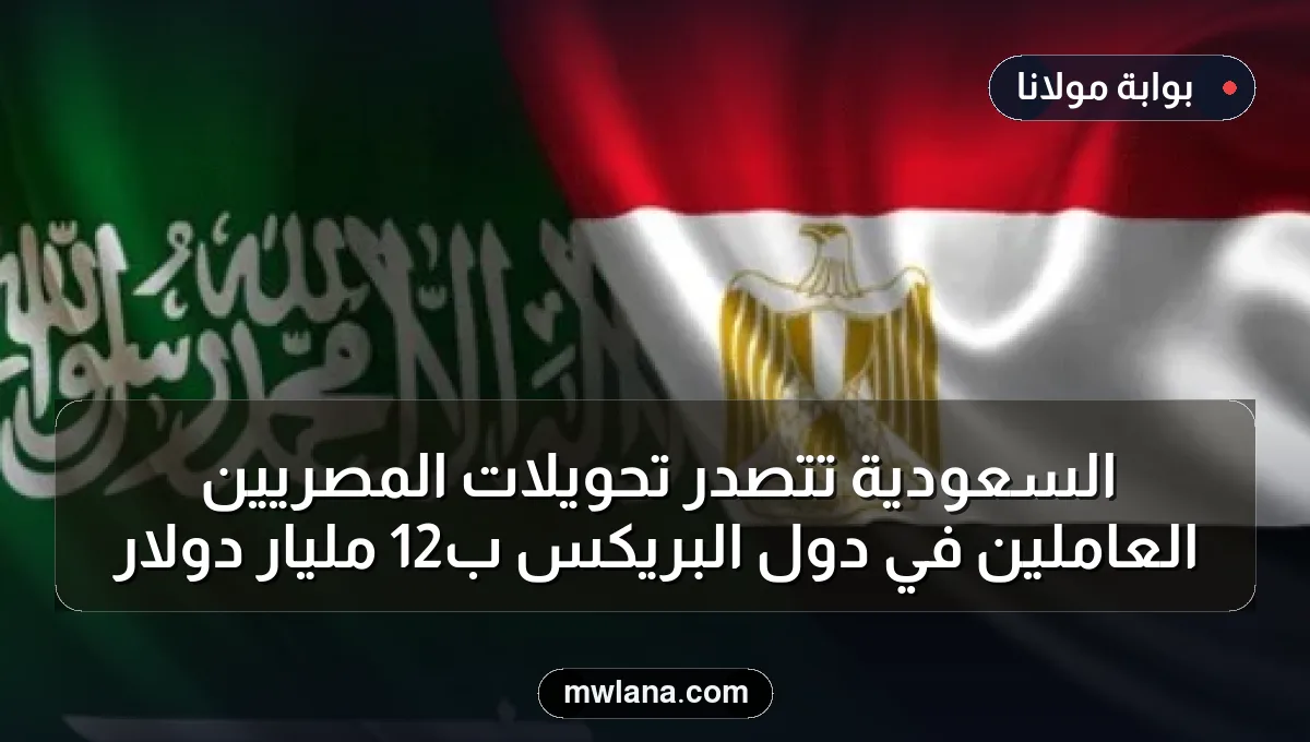 السعودية تتصدر تحويلات المصريين العاملين في دول البريكس بـ12 مليار دولار