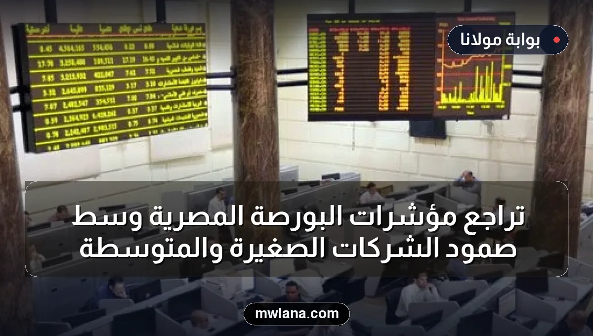 تراجع مؤشرات البورصة المصرية وسط صمود الشركات الصغيرة والمتوسطة