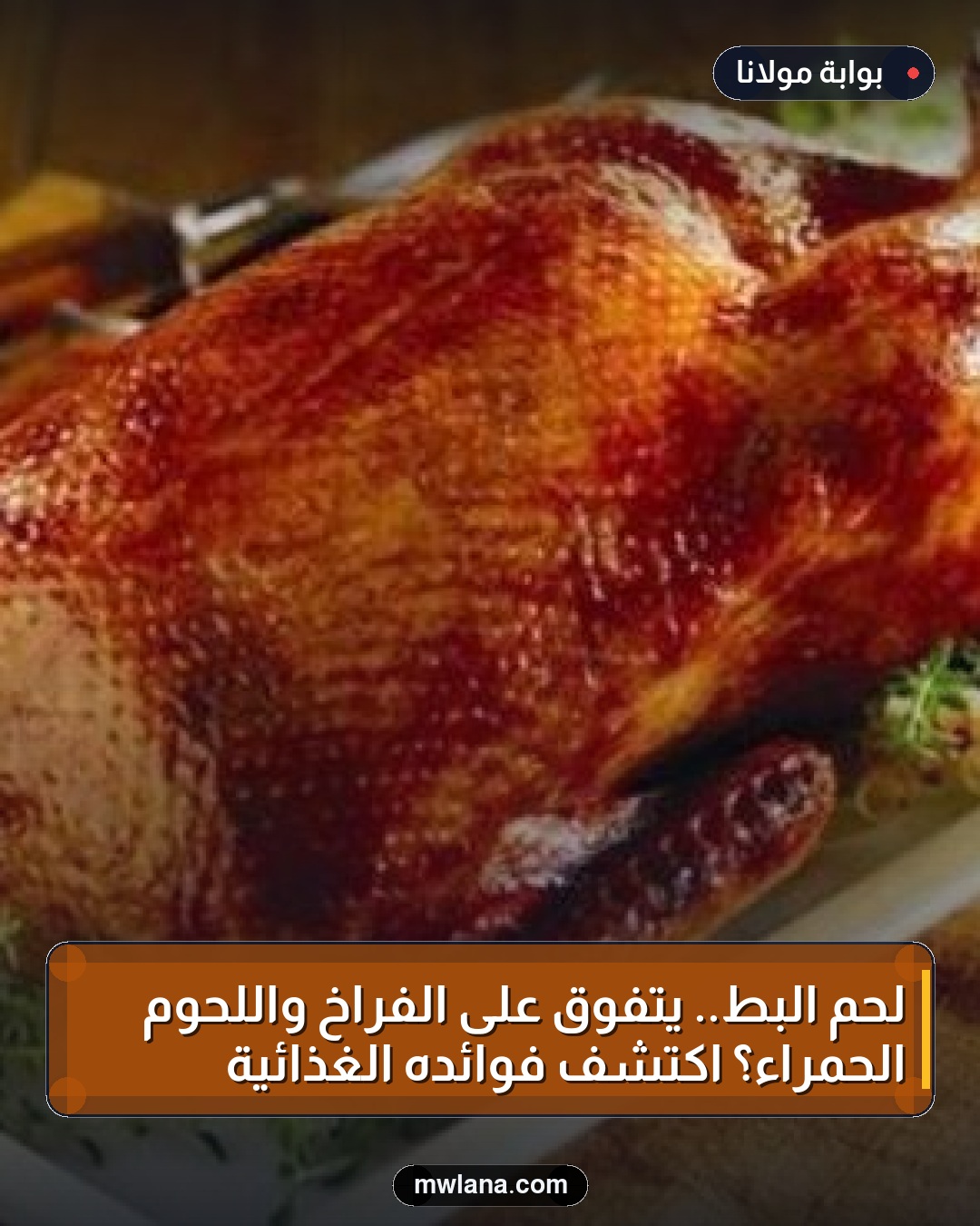 لحم البط.. يتفوق على الفراخ واللحوم الحمراء؟ اكتشف فوائده الغذائية