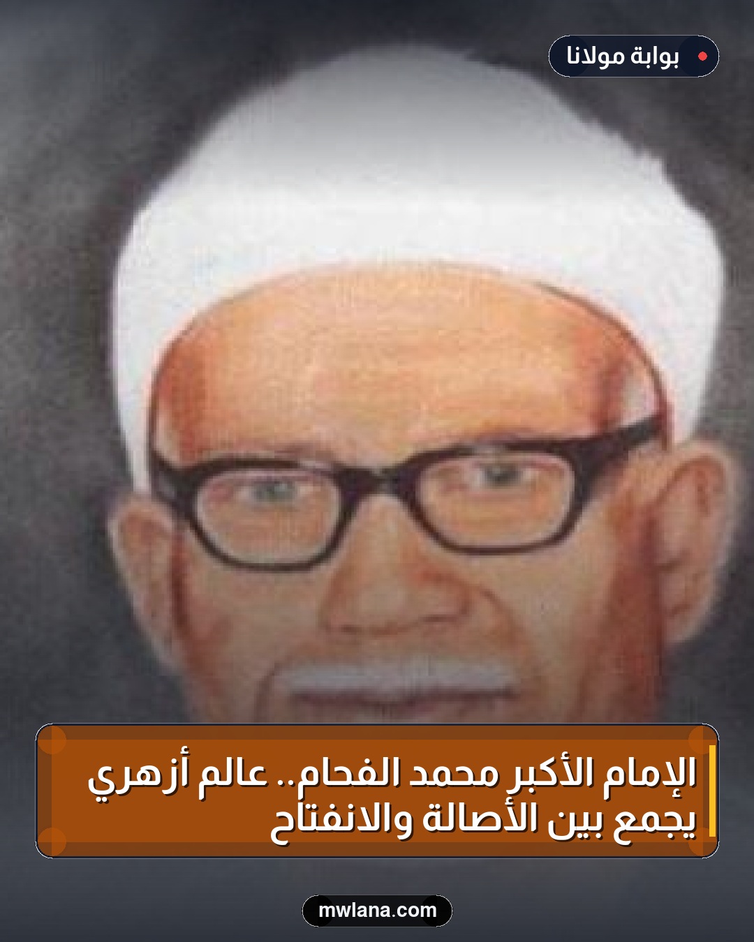 الإمام الأكبر محمد الفحام.. عالم أزهري يجمع بين الأصالة والانفتاح