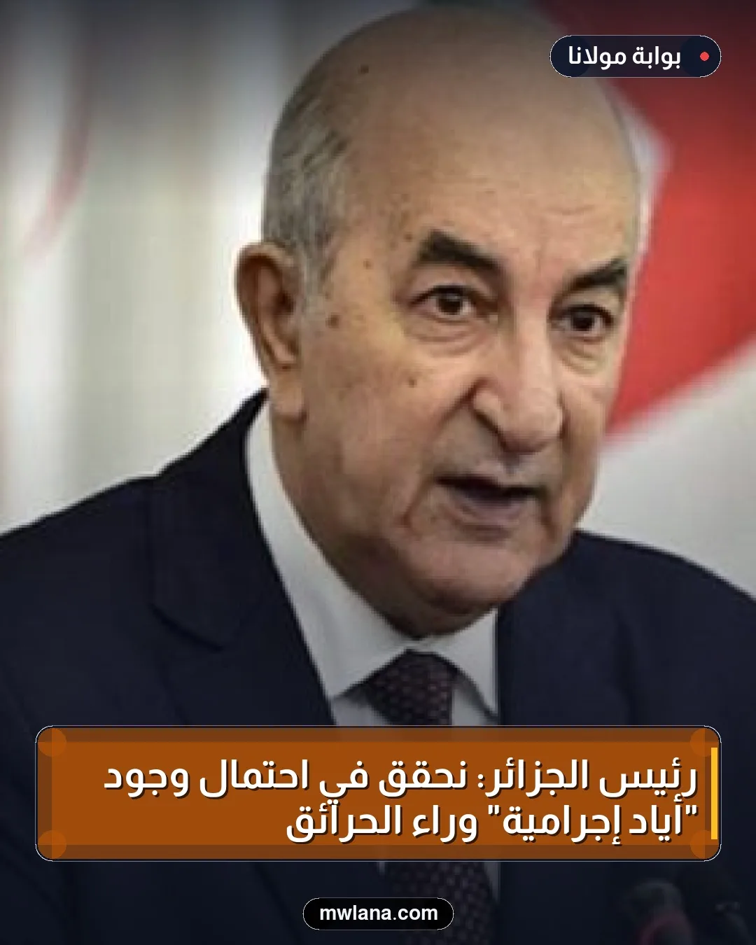 رئيس الجزائر: نحقق في احتمال وجود "أياد إجرامية" وراء الحرائق