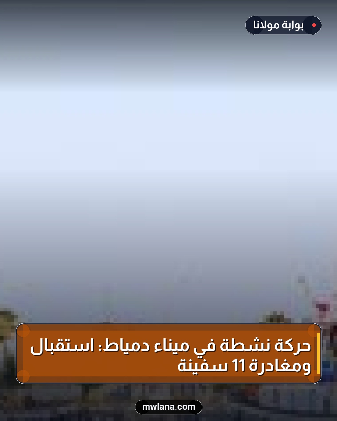 حركة نشطة في ميناء دمياط: استقبال ومغادرة 11 سفينة