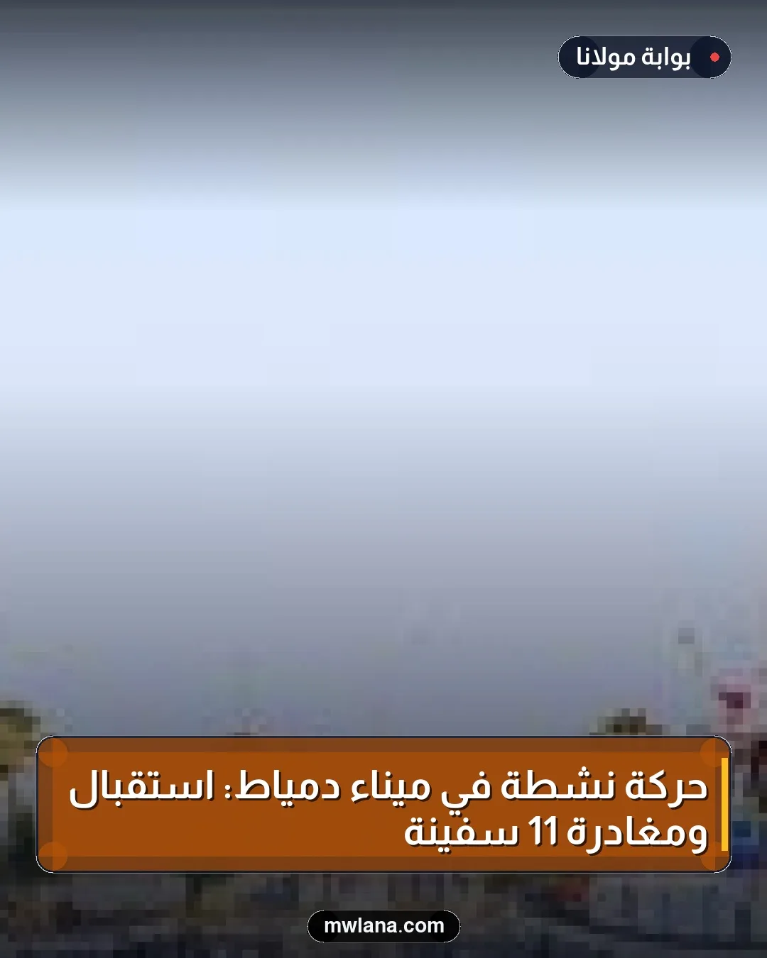 حركة نشطة في ميناء دمياط: استقبال ومغادرة 11 سفينة