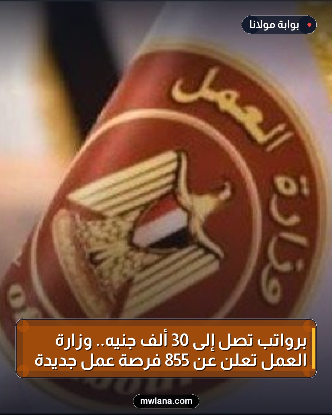 برواتب تصل إلى 30 ألف جنيه.. وزارة العمل تعلن عن 855 فرصة عمل جديدة