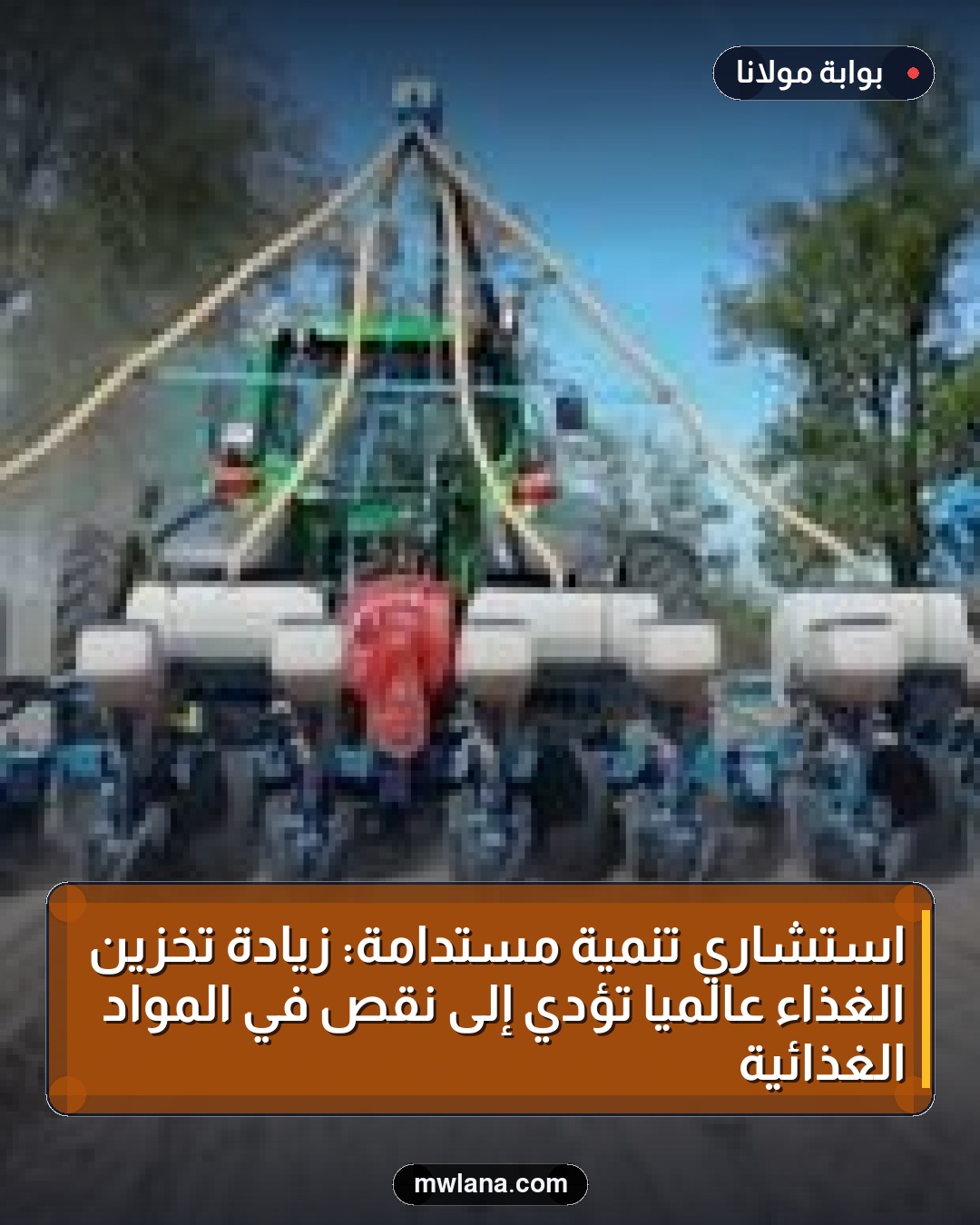 استشاري تنمية مستدامة: زيادة تخزين الغذاء عالميًا تؤدي إلى نقص في المواد الغذائية
