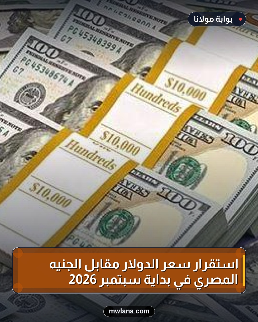 استقرار سعر الدولار مقابل الجنيه المصري في بداية سبتمبر 2026