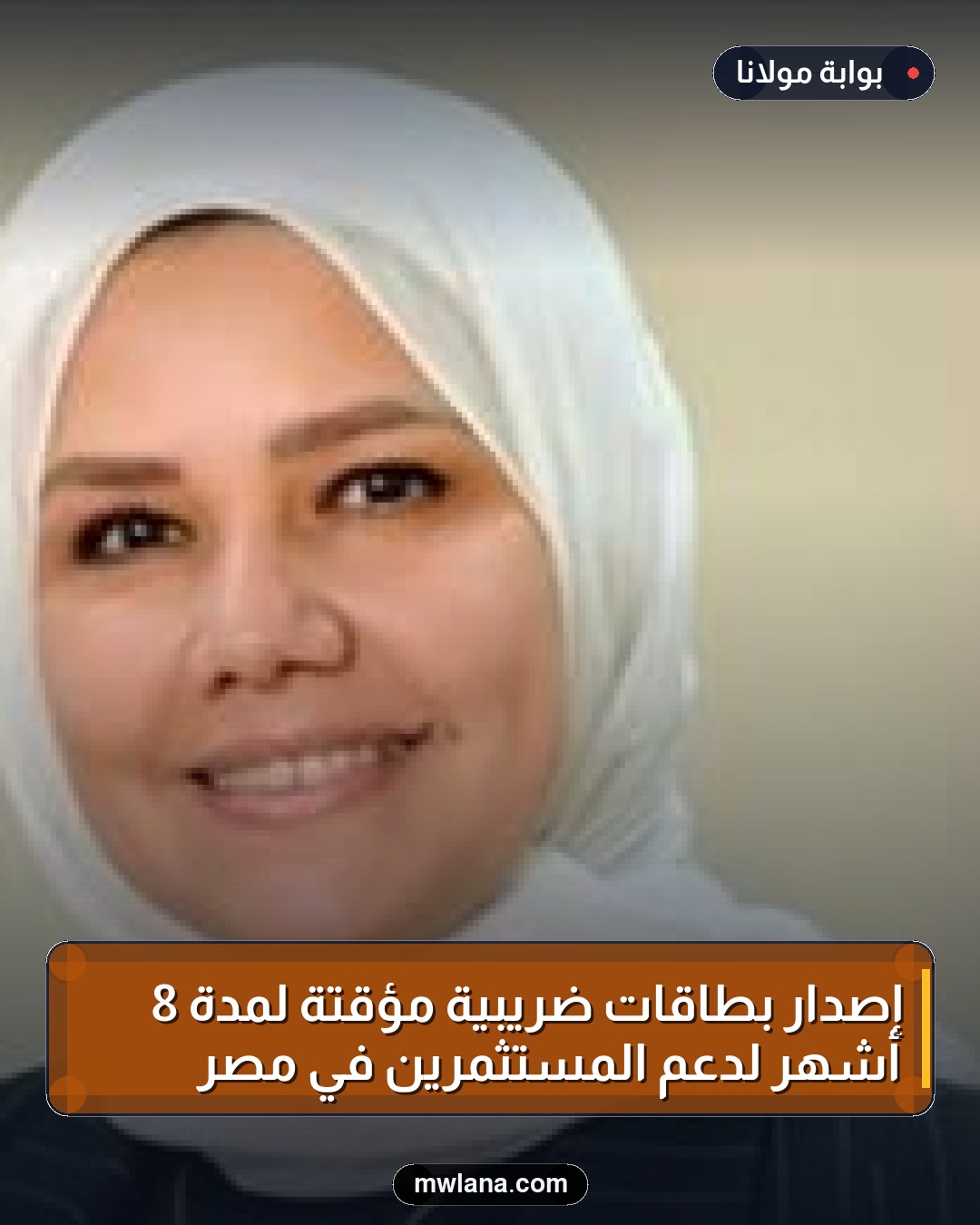 إصدار بطاقات ضريبية مؤقتة لمدة 8 أشهر لدعم المستثمرين في مصر