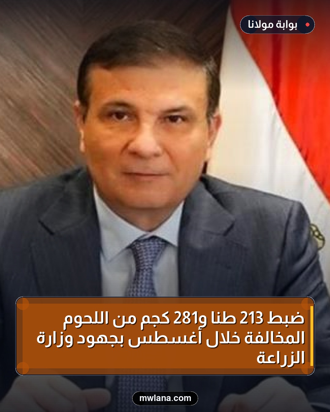 ضبط 213 طنًا و281 كجم من اللحوم المخالفة خلال أغسطس بجهود وزارة الزراعة