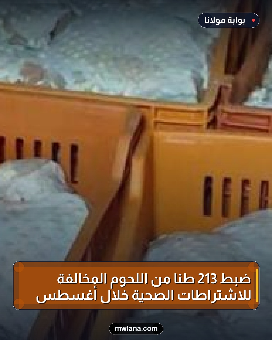 ضبط 213 طنًا من اللحوم المخالفة للاشتراطات الصحية خلال أغسطس