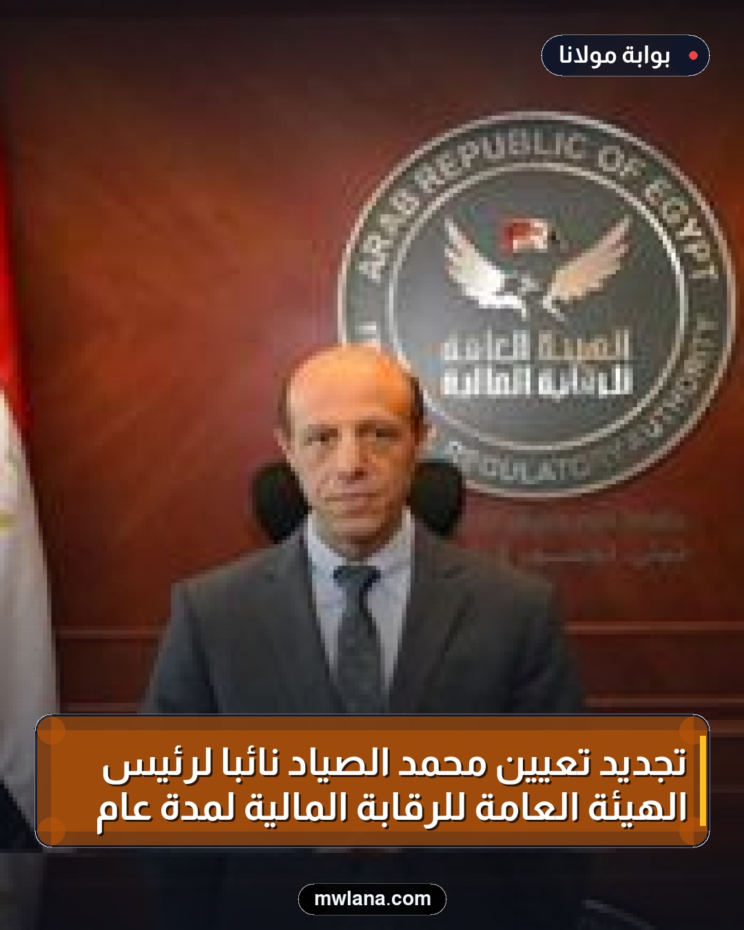 تجديد تعيين محمد الصياد نائبًا لرئيس الهيئة العامة للرقابة المالية لمدة عام