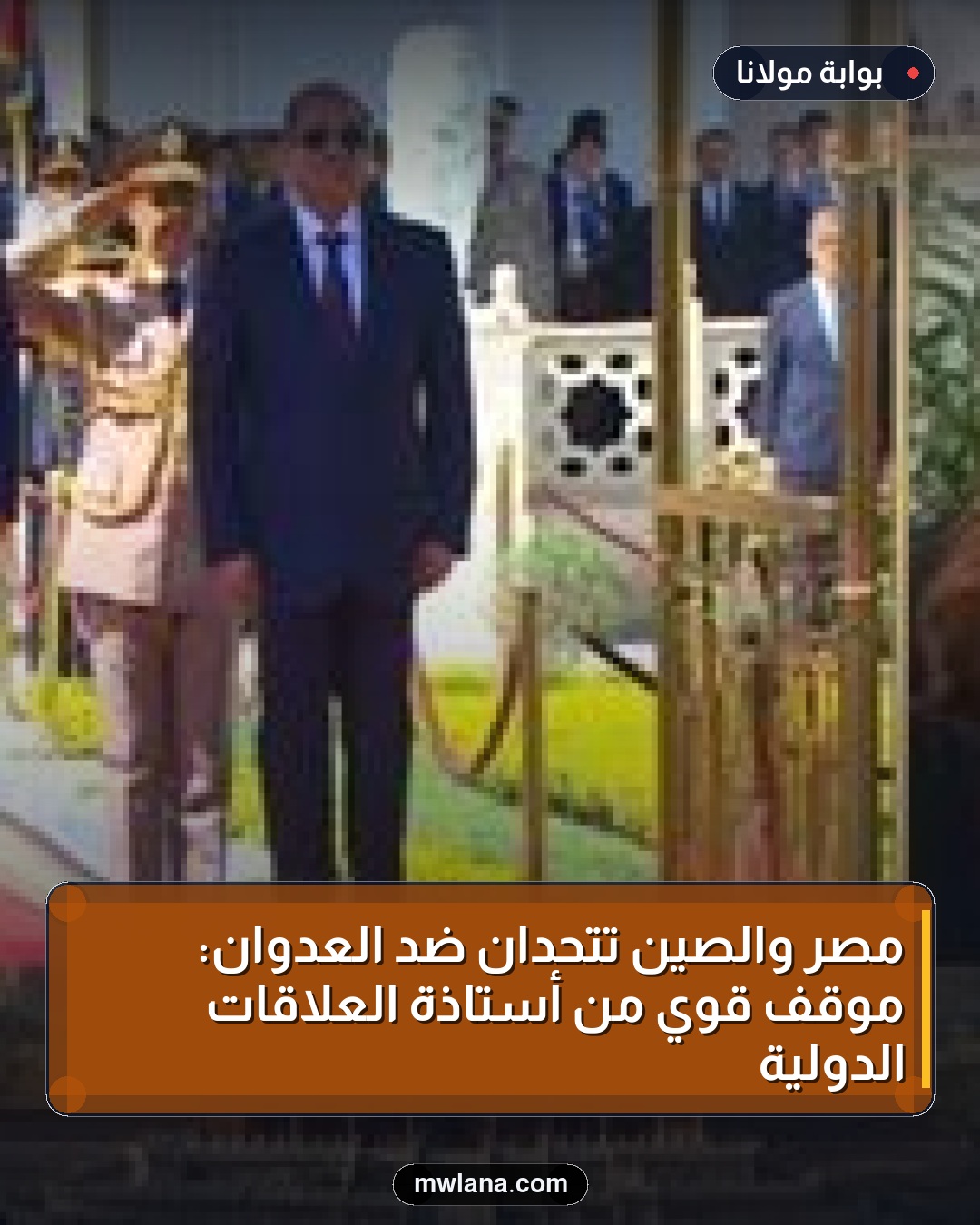 مصر والصين تتحدان ضد العدوان: موقف قوي من أستاذة العلاقات الدولية