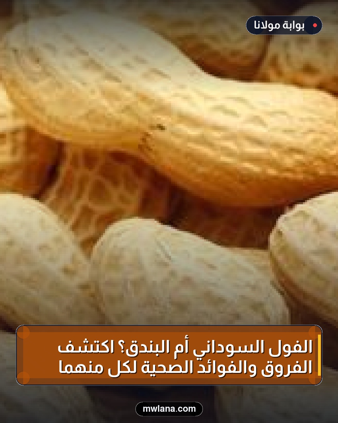 الفول السوداني أم البندق؟ اكتشف الفروق والفوائد الصحية لكل منهما