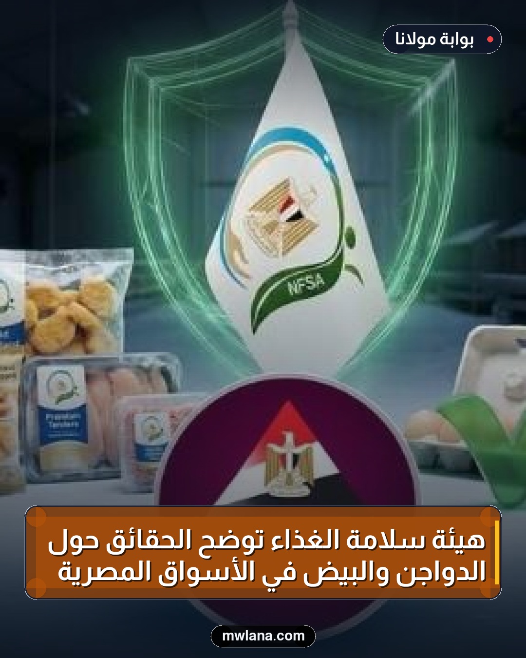 هيئة سلامة الغذاء توضح الحقائق حول الدواجن والبيض في الأسواق المصرية