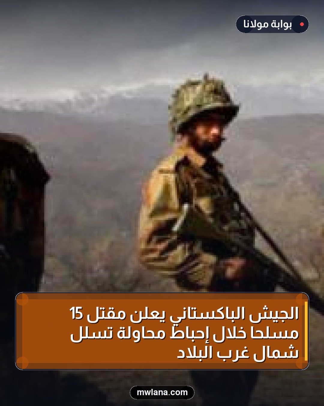 الجيش الباكستاني يعلن مقتل 15 مسلحا خلال إحباط محاولة تسلل شمال غرب البلاد