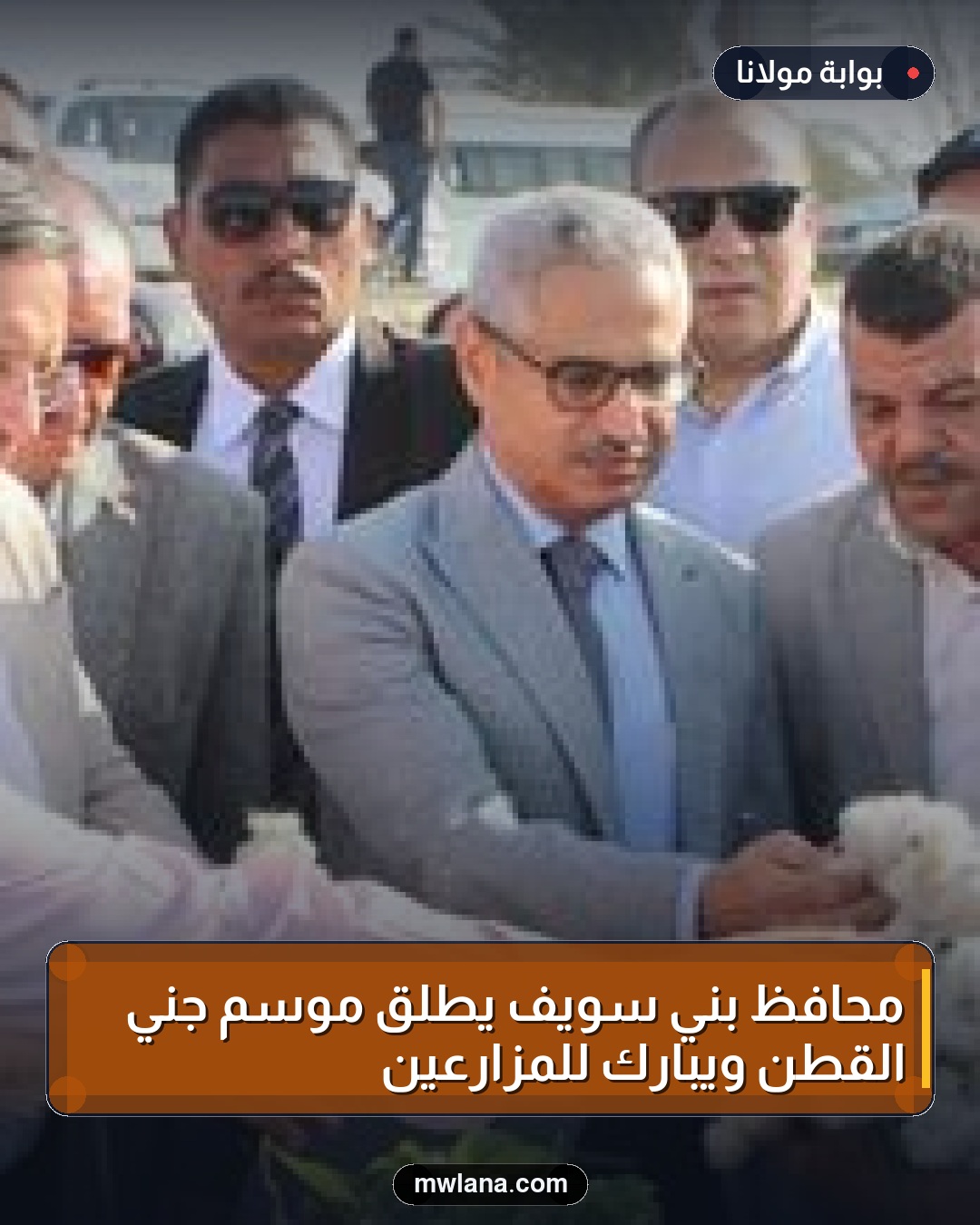 محافظ بني سويف يطلق موسم جني القطن ويبارك للمزارعين