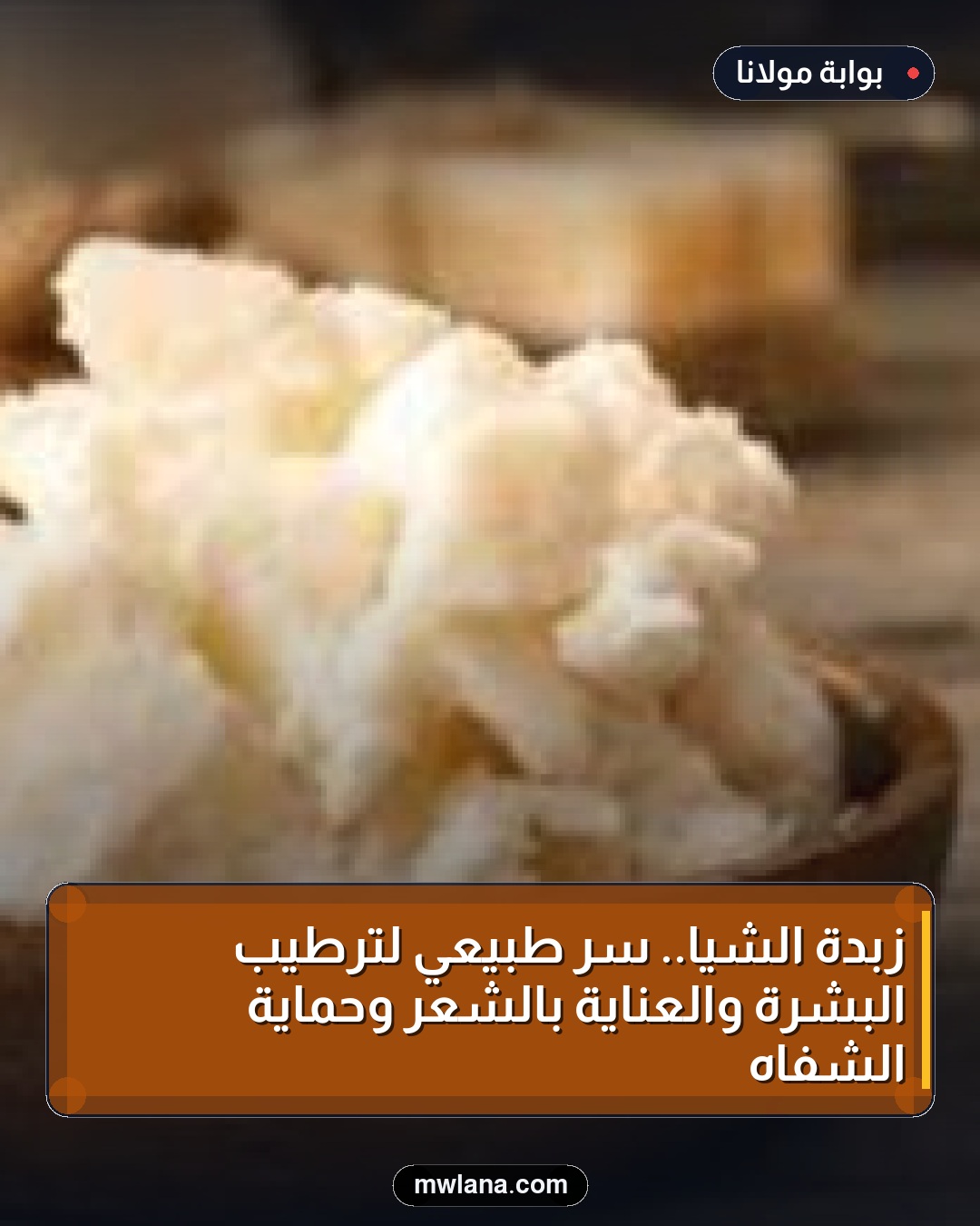 زبدة الشيا.. سر طبيعي لترطيب البشرة والعناية بالشعر وحماية الشفاه