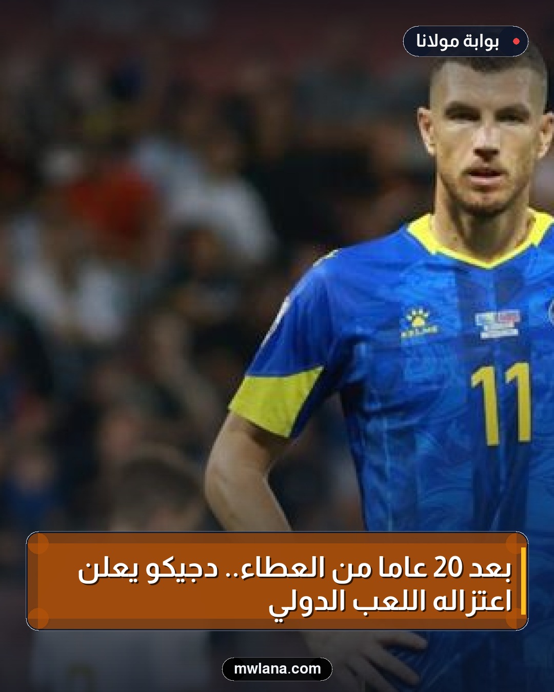 بعد 20 عامًا من العطاء.. دجيكو يعلن اعتزاله اللعب الدولي