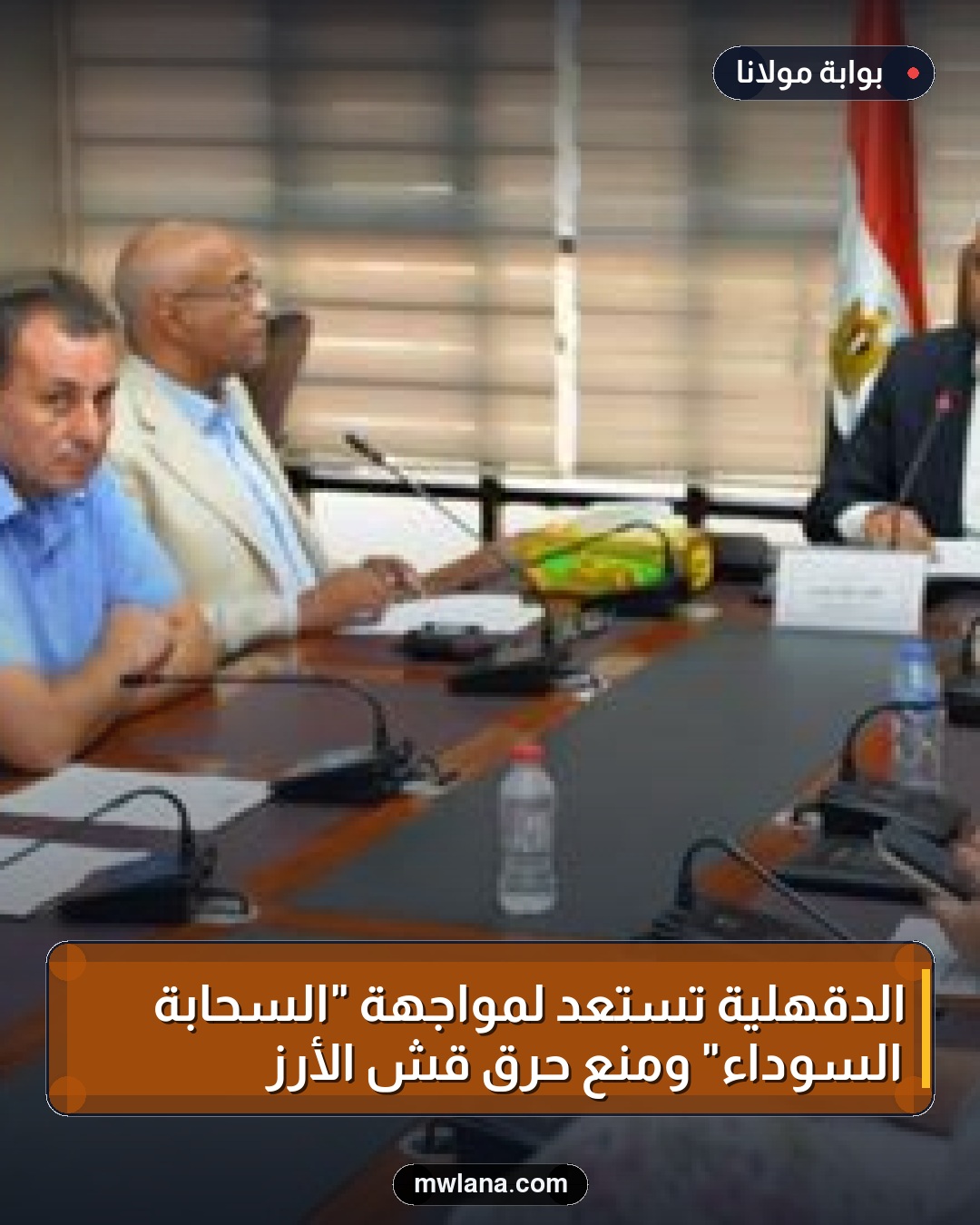 الدقهلية تستعد لمواجهة "السحابة السوداء" ومنع حرق قش الأرز