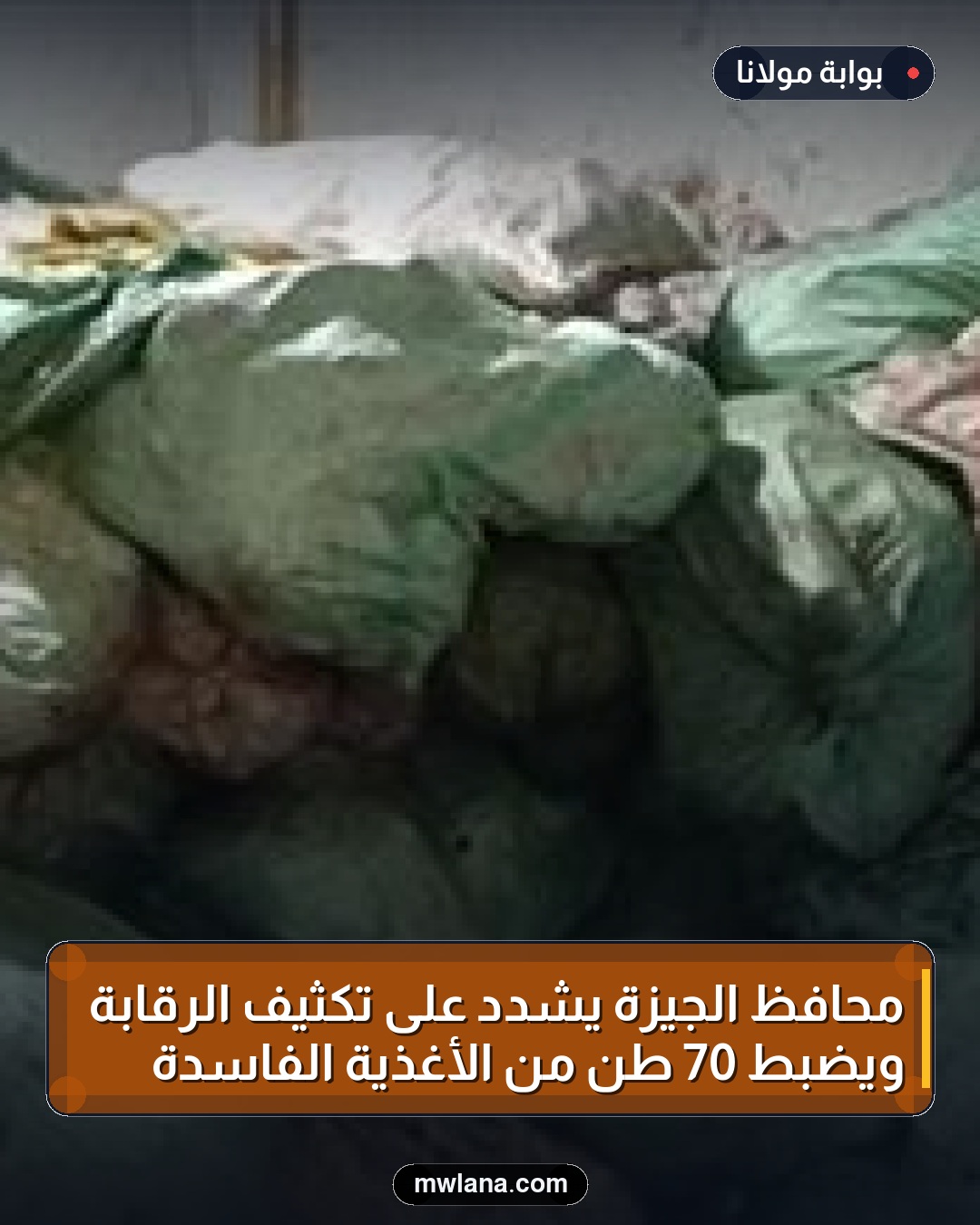محافظ الجيزة يشدد على تكثيف الرقابة ويضبط 70 طن من الأغذية الفاسدة