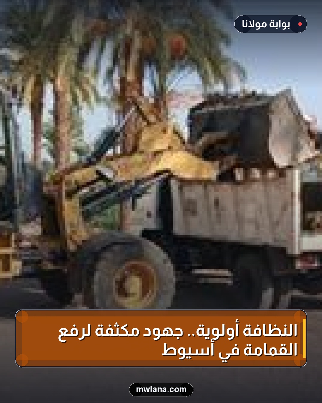 النظافة أولوية.. جهود مكثفة لرفع القمامة في أسيوط