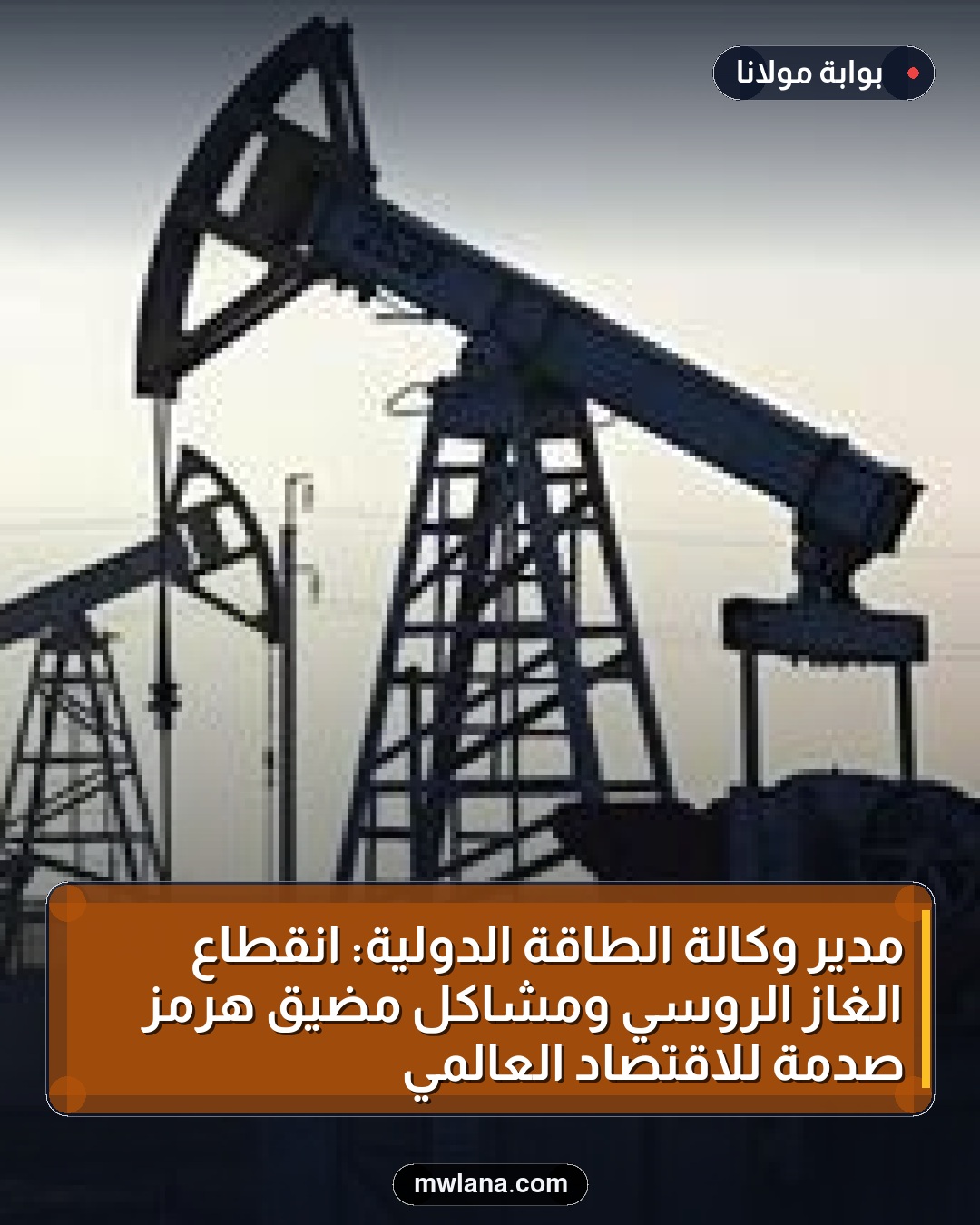 مدير وكالة الطاقة الدولية: انقطاع الغاز الروسي ومشاكل مضيق هرمز صدمة للاقتصاد العالمي