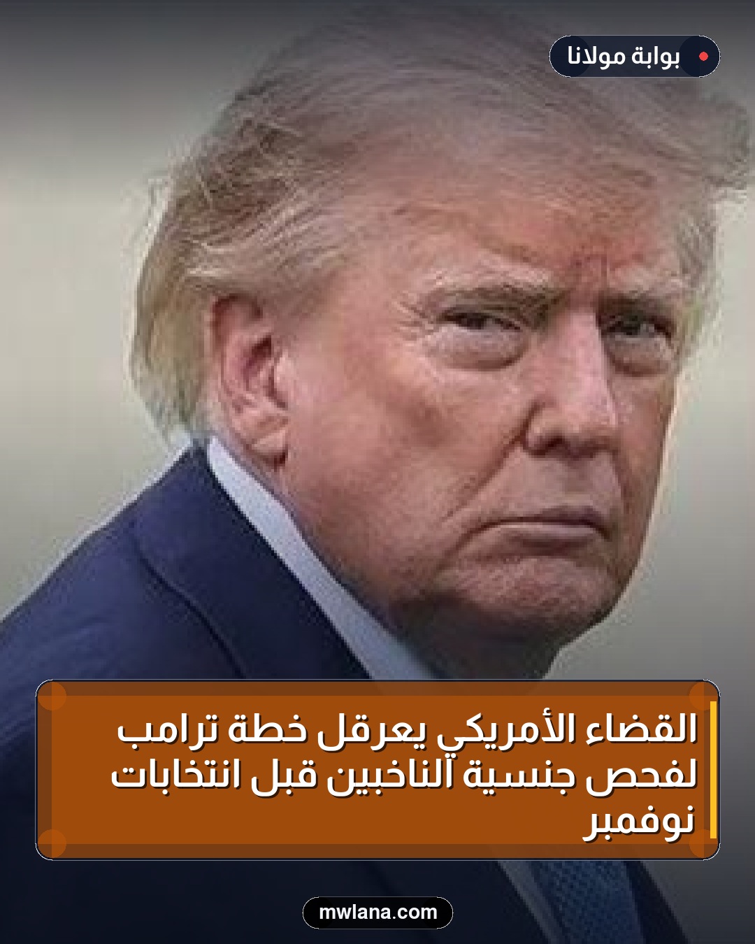 القضاء الأمريكي يعرقل خطة ترامب لفحص جنسية الناخبين قبل انتخابات نوفمبر