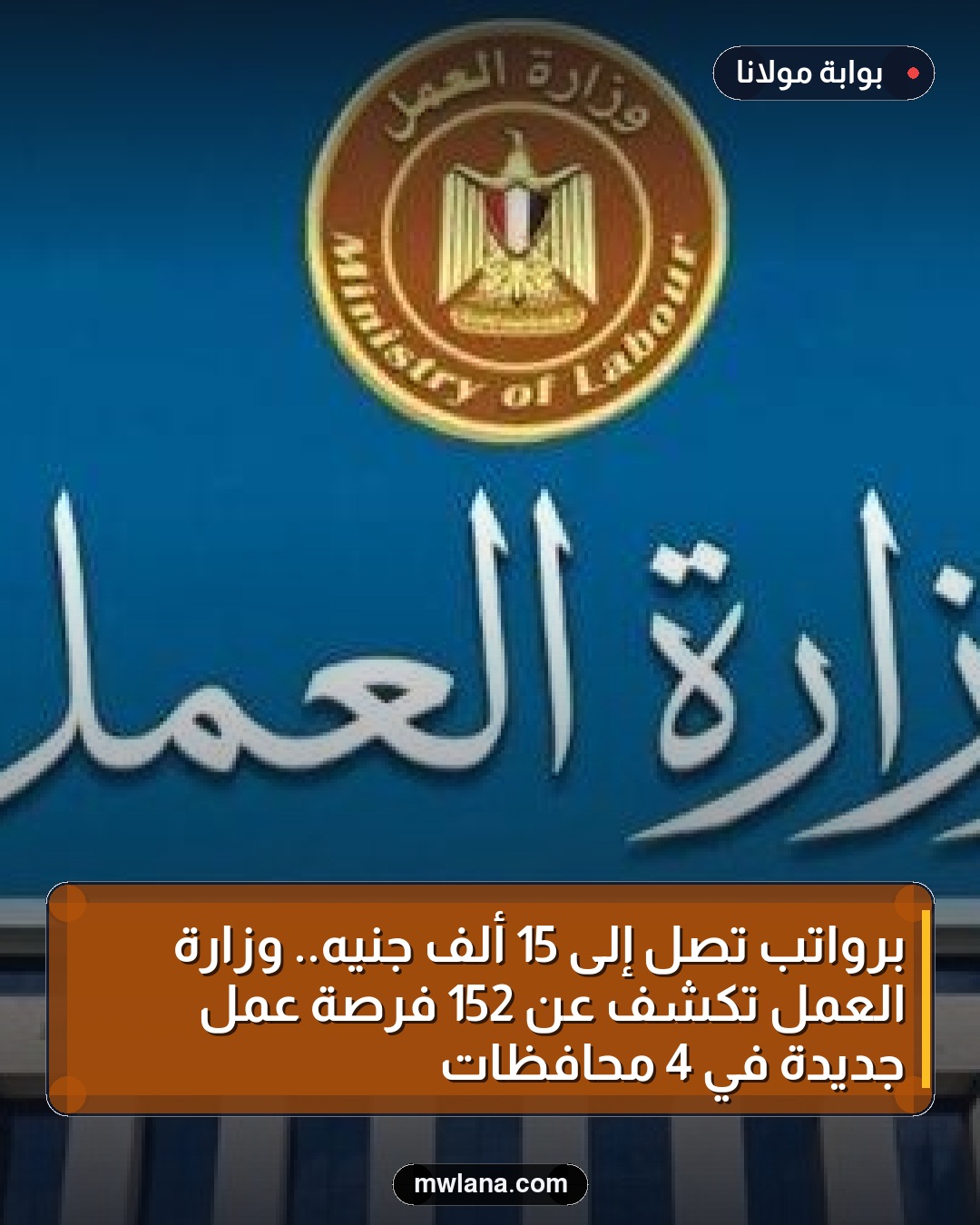 برواتب تصل إلى 15 ألف جنيه.. وزارة العمل تكشف عن 152 فرصة عمل جديدة في 4 محافظات