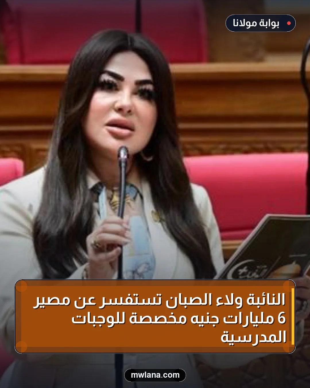 النائبة ولاء الصبان تستفسر عن مصير 6 مليارات جنيه مخصصة للوجبات المدرسية