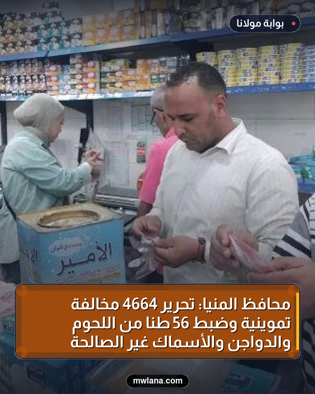 محافظ المنيا: تحرير 4664 مخالفة تموينية وضبط 56 طنًا من اللحوم والدواجن والأسماك غير الصالحة