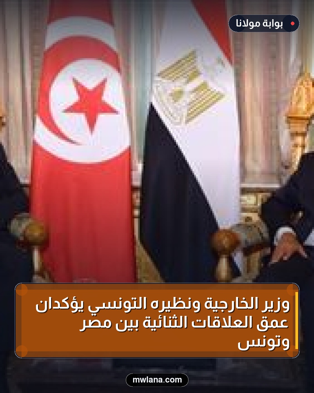 وزير الخارجية ونظيره التونسي يؤكدان عمق العلاقات الثنائية بين مصر وتونس