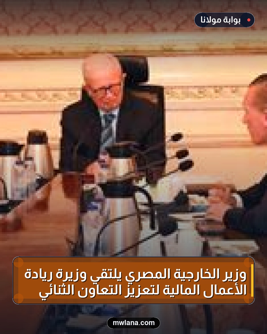 وزير الخارجية المصري يلتقي وزيرة ريادة الأعمال المالية لتعزيز التعاون الثنائي