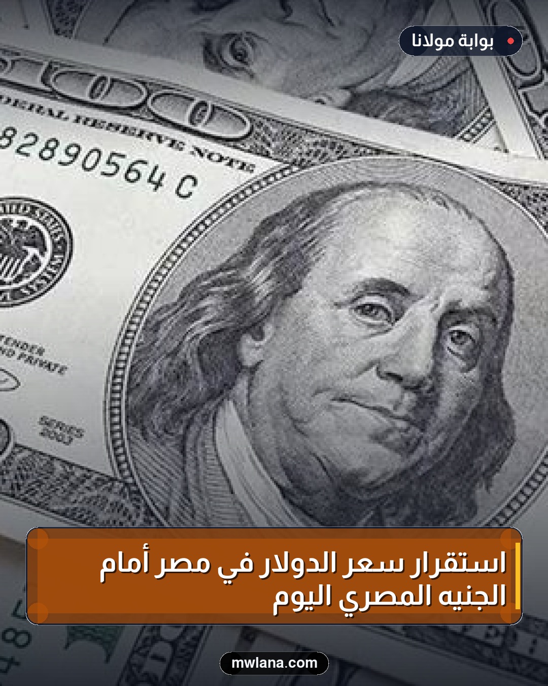 استقرار سعر الدولار في مصر أمام الجنيه المصري اليوم