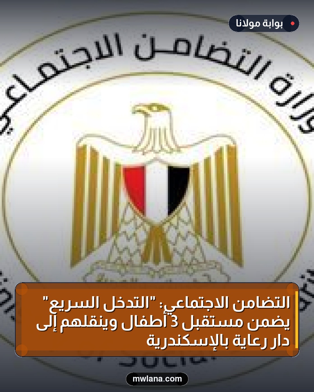 التضامن الاجتماعي: "التدخل السريع" يضمن مستقبل 3 أطفال وينقلهم إلى دار رعاية بالإسكندرية
