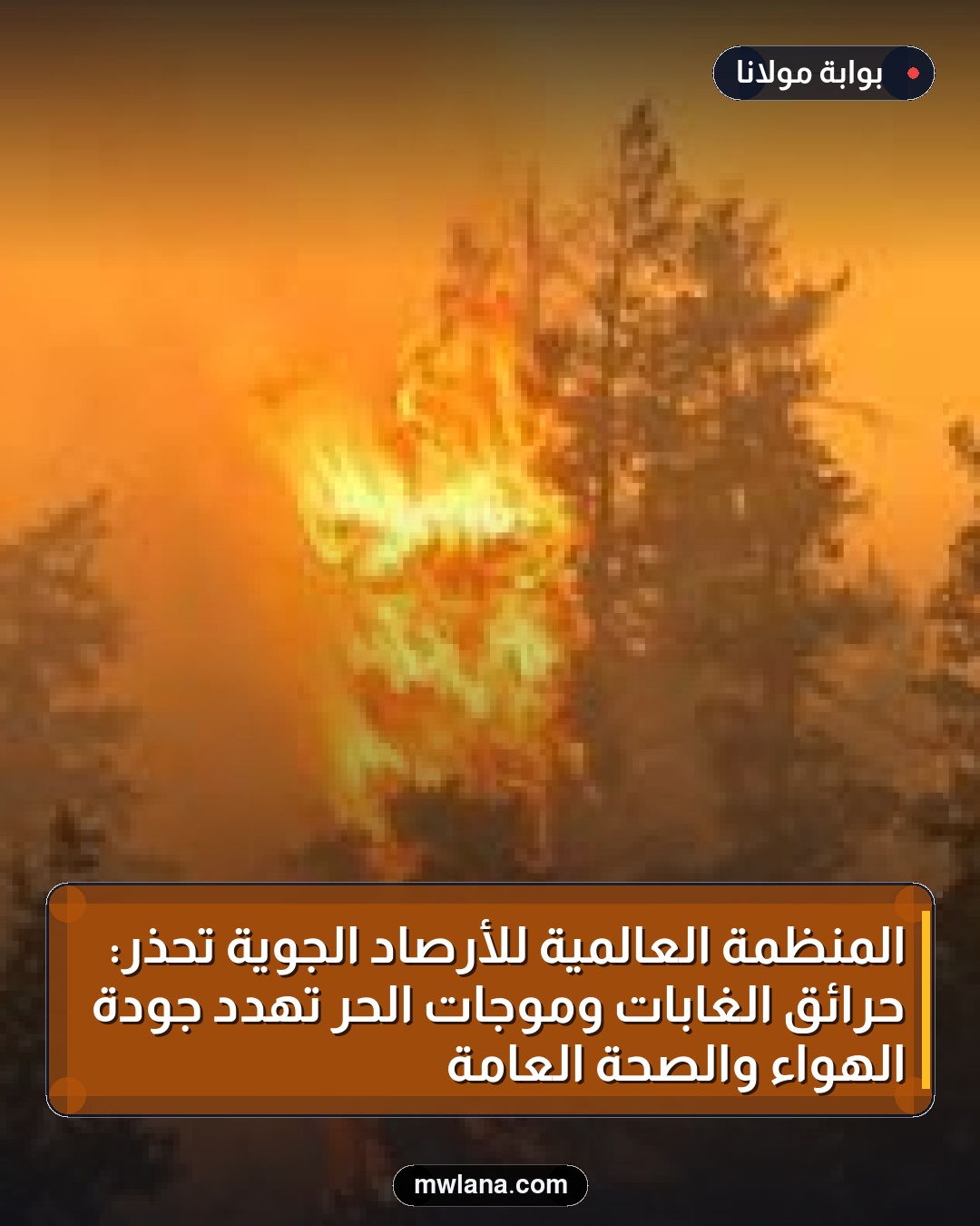 المنظمة العالمية للأرصاد الجوية تحذر: حرائق الغابات وموجات الحر تهدد جودة الهواء والصحة العامة