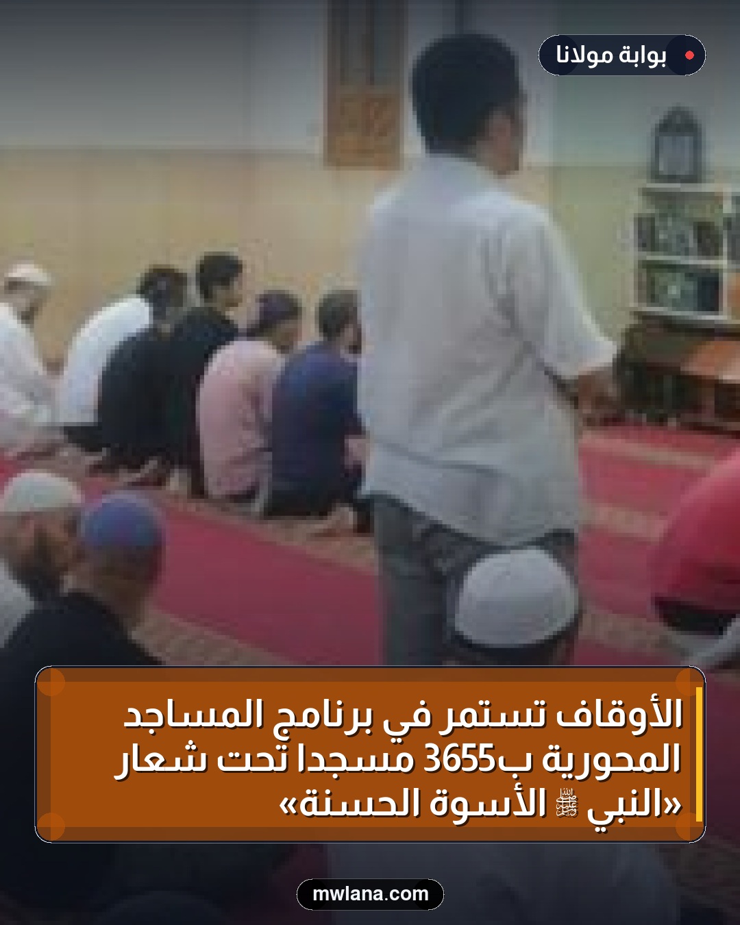 الأوقاف تستمر في برنامج المساجد المحورية بـ3655 مسجدًا تحت شعار «النبي ﷺ الأسوة الحسنة»