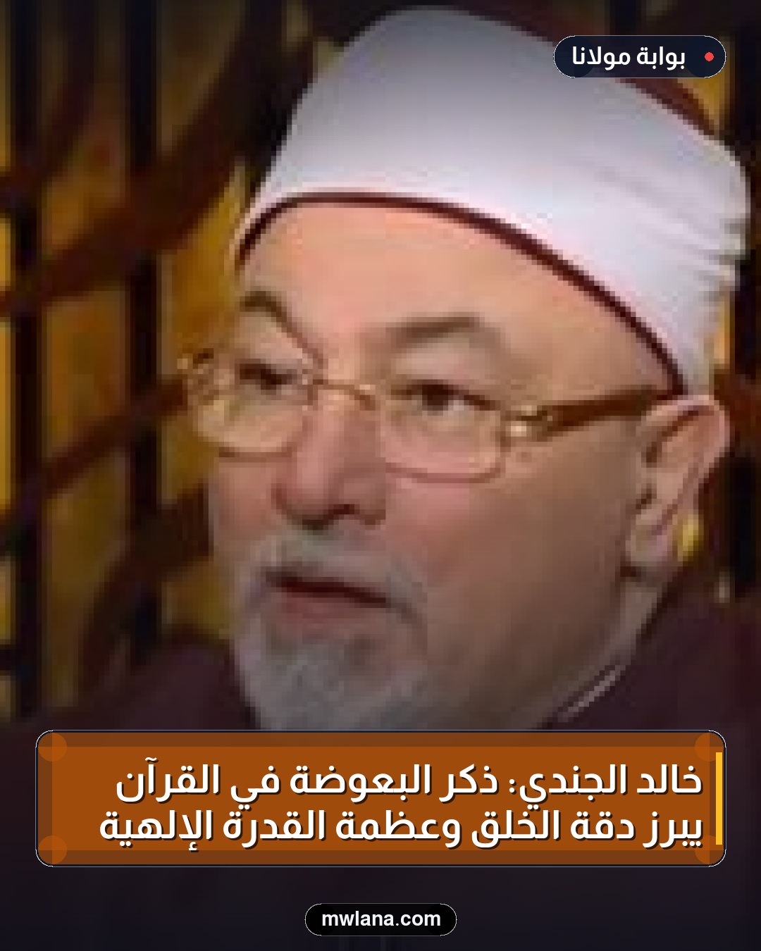 خالد الجندي: ذكر البعوضة في القرآن يبرز دقة الخلق وعظمة القدرة الإلهية