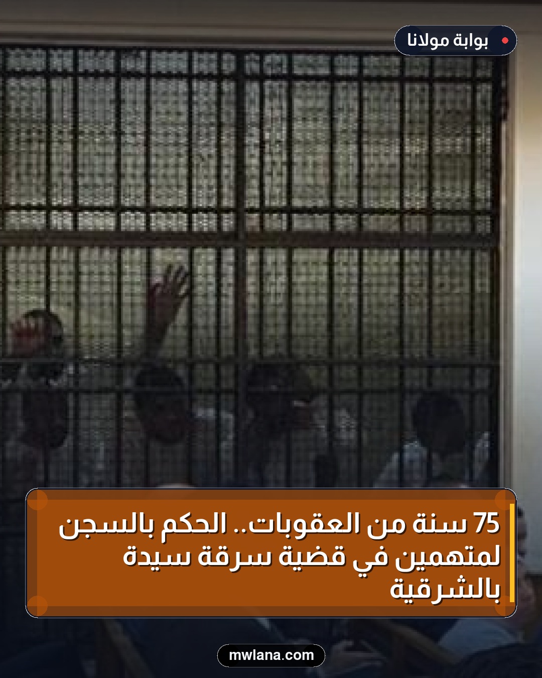 75 سنة من العقوبات.. الحكم بالسجن لمتهمين في قضية سرقة سيدة بالشرقية