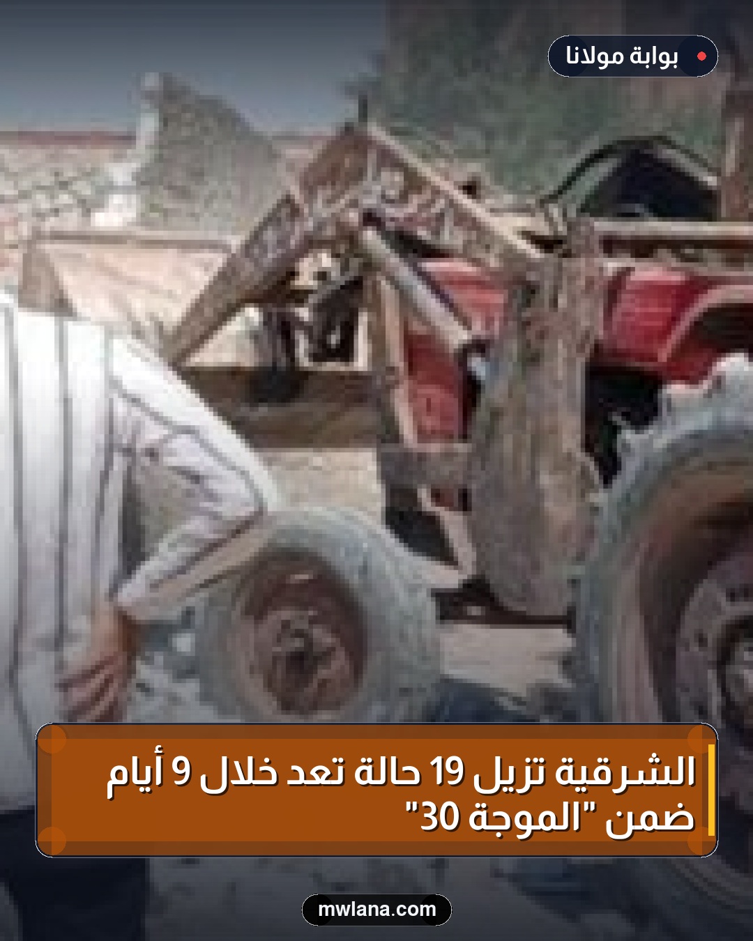 الشرقية تُزيل 19 حالة تعدٍ خلال 9 أيام ضمن "الموجة 30"