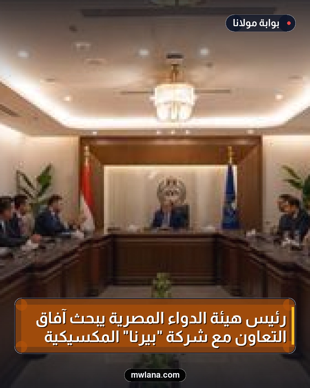رئيس هيئة الدواء المصرية يبحث آفاق التعاون مع شركة "بيرنا" المكسيكية