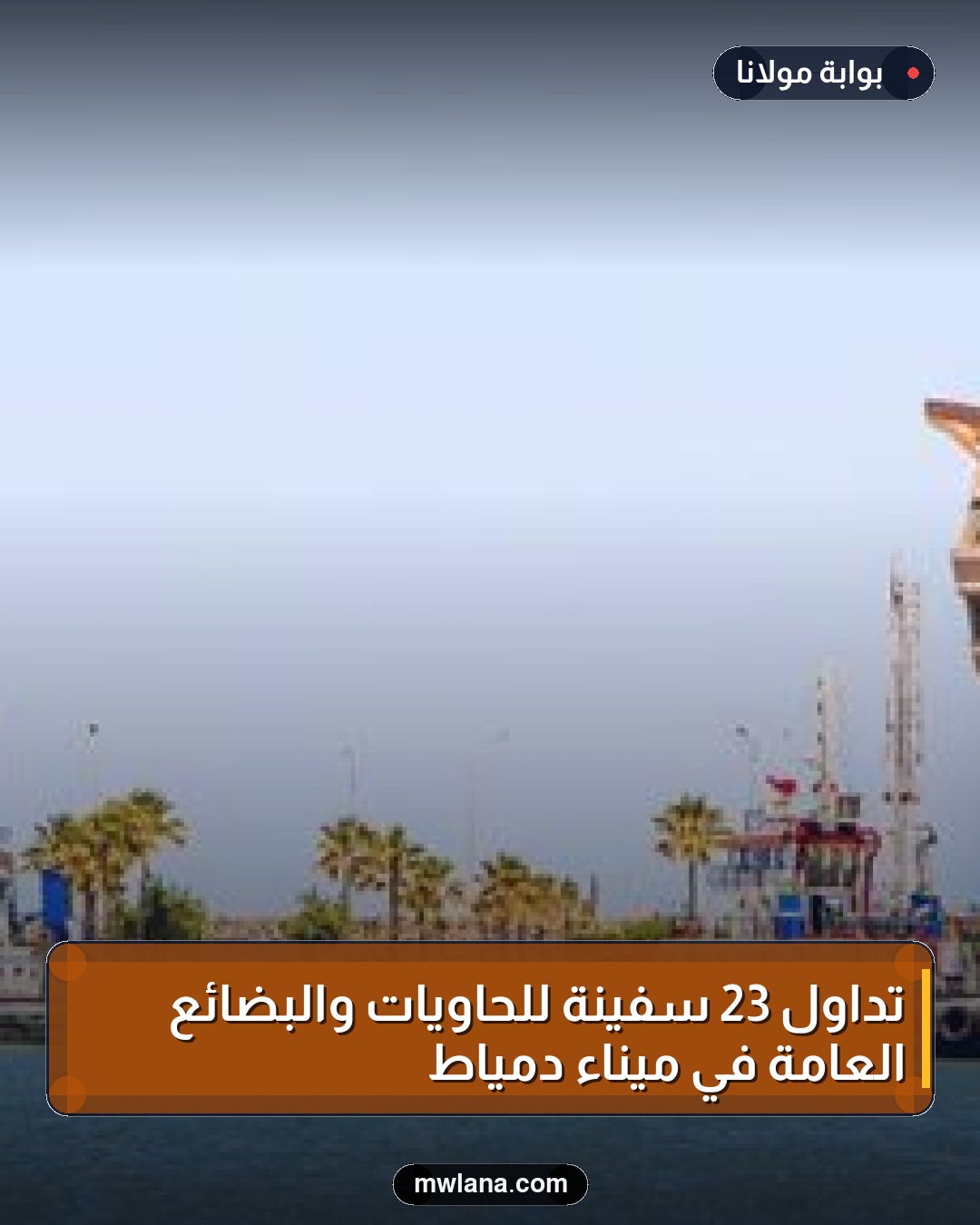 تداول 23 سفينة للحاويات والبضائع العامة في ميناء دمياط
