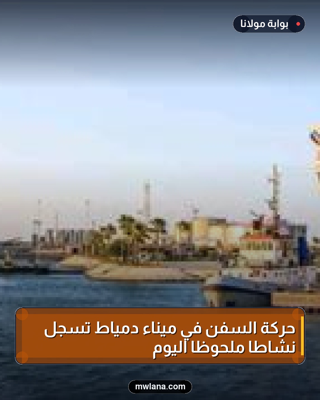 حركة السفن في ميناء دمياط تسجل نشاطاً ملحوظاً اليوم